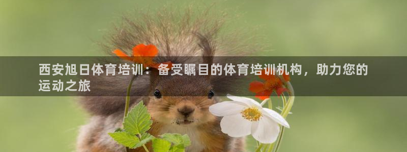 欧陆娱乐注册代理：西安旭日体育培训：备受瞩目的体育培