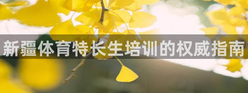 欧陆娱乐公司产品介绍怎么写：新疆体育特长生培训的权威