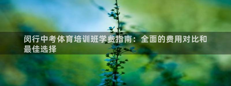 欧陆娱乐公司产品介绍图片：闵行中考体育培训班学费指南