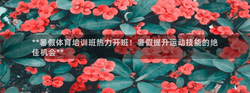 欧陆娱乐会员有什么用