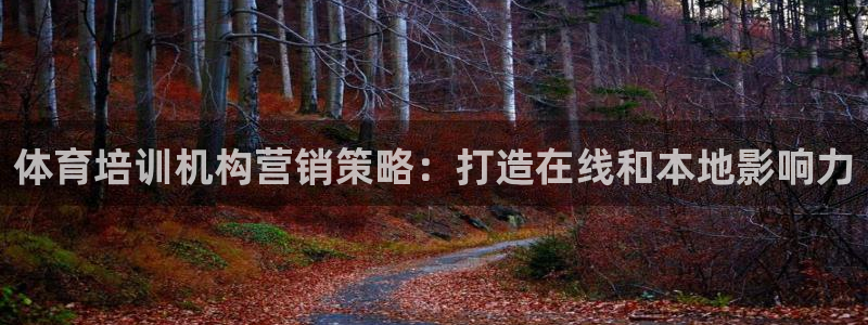 欧陆娱乐能提现嘛?：体育培训机构营销策略：打造在线和