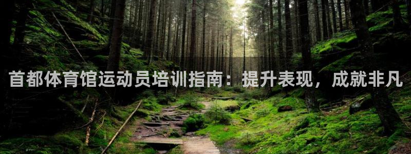 欧陆娱乐稳中：首都体育馆运动员培训指南：提升表现，成