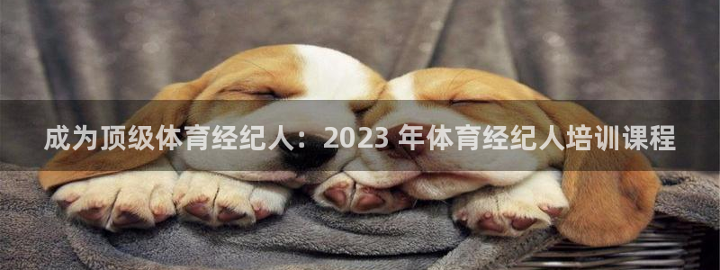 欧陆娱乐app打不开怎么回事儿：成为顶级体育经纪人：