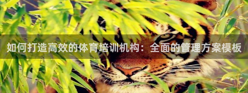 欧陆娱乐平台登录不上去怎么办：如何打造高效的体育培训
