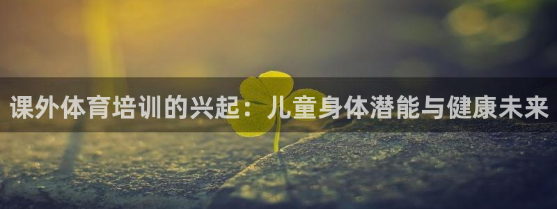 欧陆娱乐挂机项目怎么设置：课外体育培训的兴起：儿童身