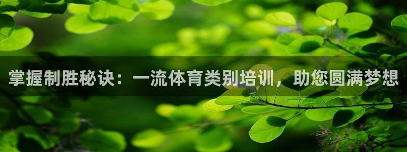 欧陆娱乐官网入口
