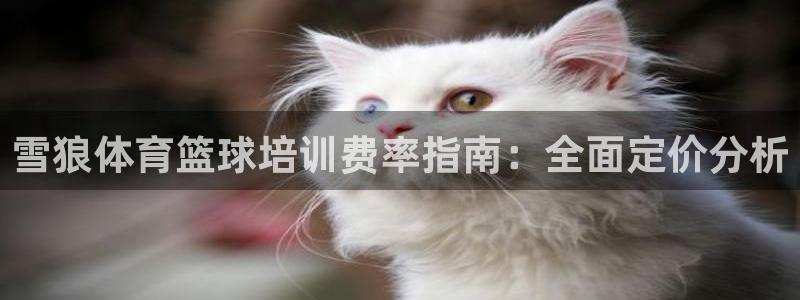 欧陆娱乐推广奖金多少：雪狼体育篮球培训费率指南：全面