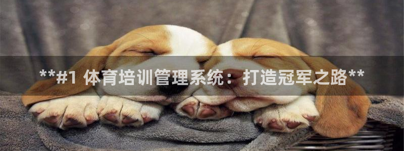 欧陆娱乐登陆平台官网