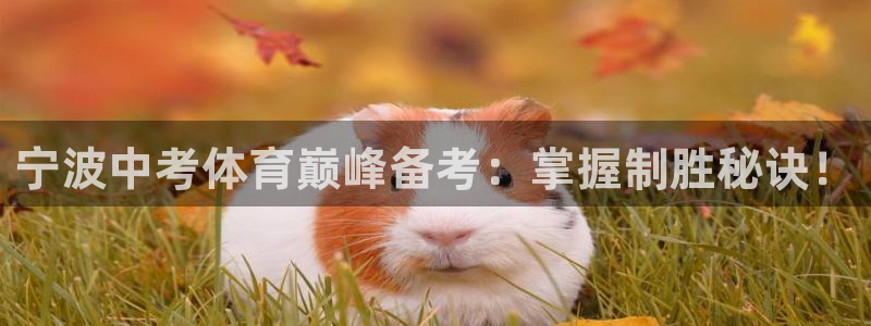 欧陆娱乐平台总代理：宁波中考体育巅峰备考：掌握制胜秘