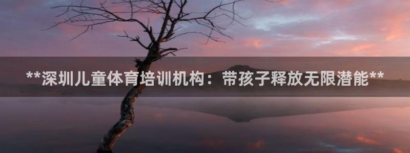 欧陆娱乐简介：**深圳儿童体育培训机构：带孩子释放无