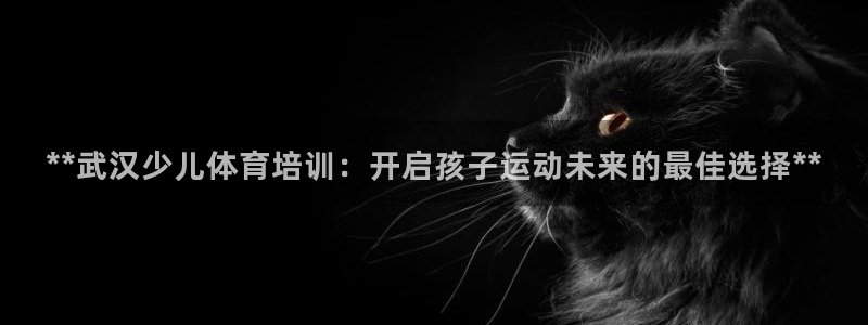 欧陆娱乐登录测速怎么关闭：**武汉少儿体育培训：开启