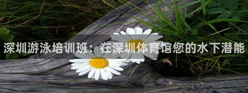 欧陆娱乐官方：深圳游泳培训班：在深圳体育馆您的水下潜