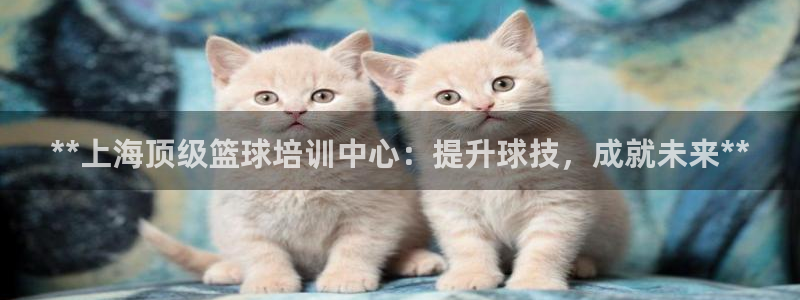 欧陆娱乐登录平台有哪些：**上海顶级篮球培训中心：提