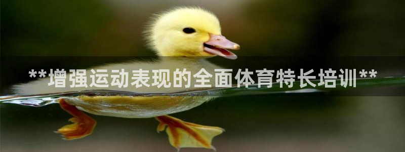 欧陆娱乐游戏特色：**增强运动表现的全面体育特长培训