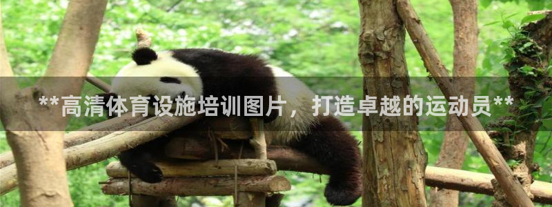 欧陆娱乐微信：**高清体育设施培训图片，打造卓越的运