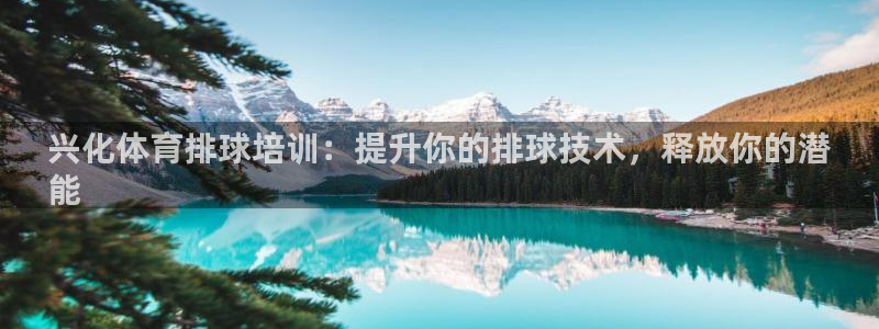 欧陆娱乐里面怎么看打排五：兴化体育排球培训：提升你的