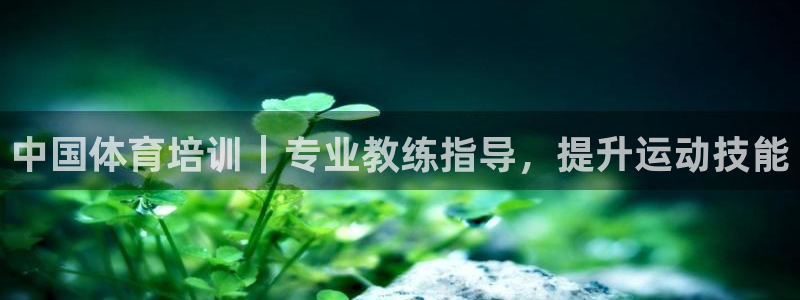 欧陆娱乐百科百度：中国体育培训｜专业教练指导，提升运