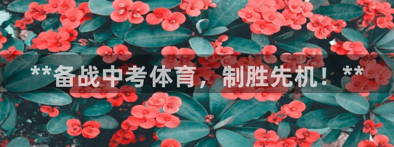 欧陆平台：**备战中考体育，制胜先机！**