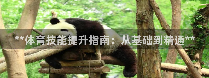 欧陆娱乐挂机项目：**体育技能提升指南：从基础到精通