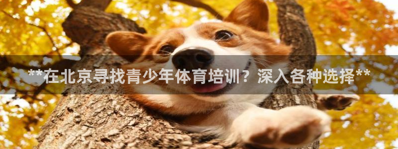 欧陆娱乐官方网站下载：**在北京寻找青少年体育培训？