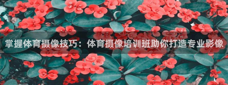 欧陆娱乐会员有什么用：掌握体育摄像技巧：体育摄像培训