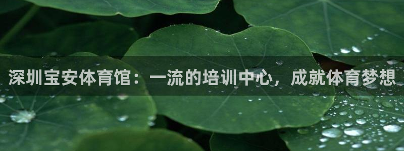 欧陆娱乐是真的吗：深圳宝安体育馆：一流的培训中心，成