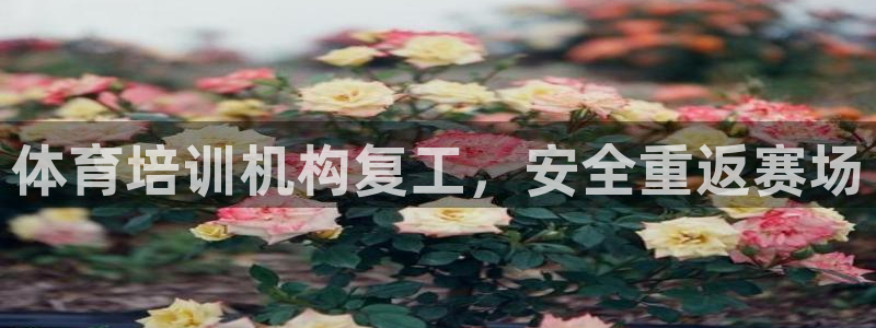 欧陆娱乐登陆平台官网