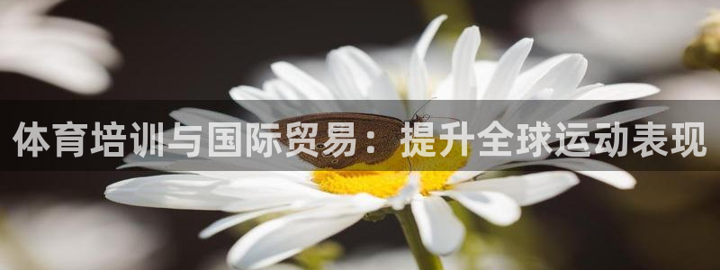 欧陆娱乐怎么注册：体育培训与国际贸易：提升全球运动表
