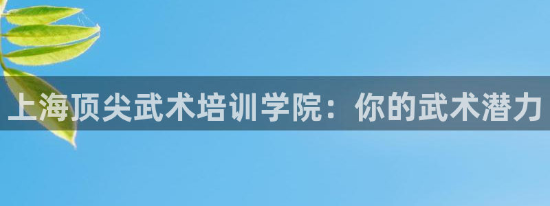 欧陆娱乐不让提现怎么办：上海顶尖武术培训学院：你的武