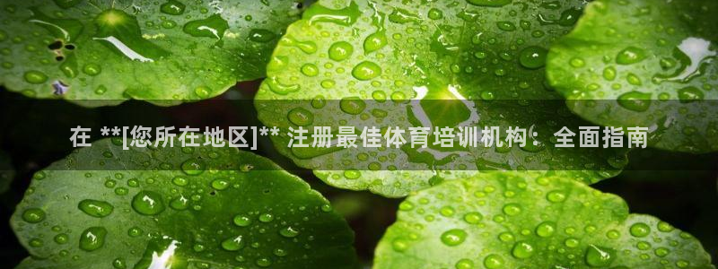 欧陆娱乐能赚钱吗：在 **[您所在地区]** 注册最