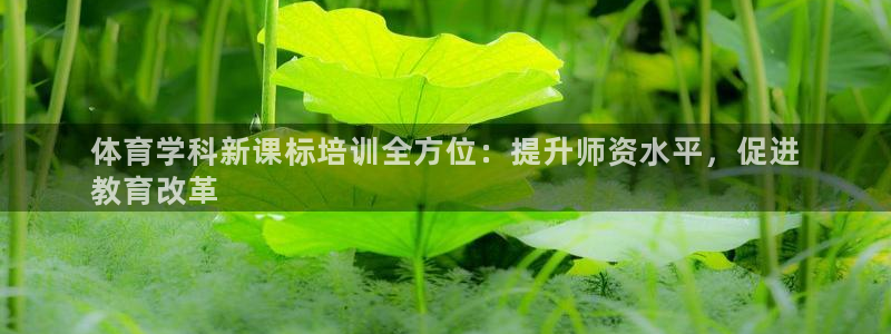 欧陆娱乐注册代理多少钱啊：体育学科新课标培训全方位：