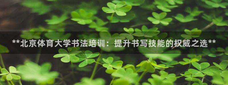 欧陆娱乐官网入口网址：**北京体育大学书法培训：提升