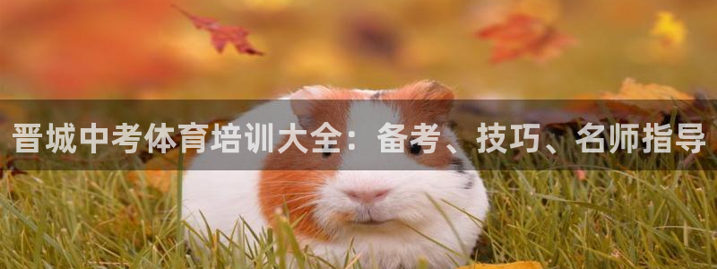 欧陆娱乐注册代理多少钱一年：晋城中考体育培训大全：备