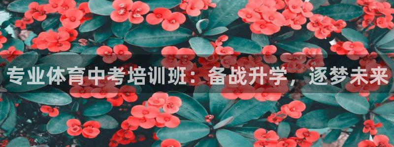 欧陆娱乐怎么注册帐号：专业体育中考培训班：备战升学，