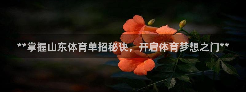 欧陆娱乐公司产品介绍怎么写：**掌握山东体育单招秘诀，开启体