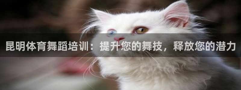 欧陆娱乐平台咋样：昆明体育舞蹈培训：提升您的舞技，释