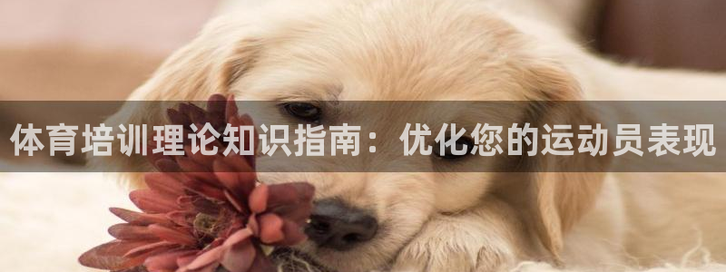 欧陆娱乐注册链接安全吗可靠吗：体育培训理论知识指南：