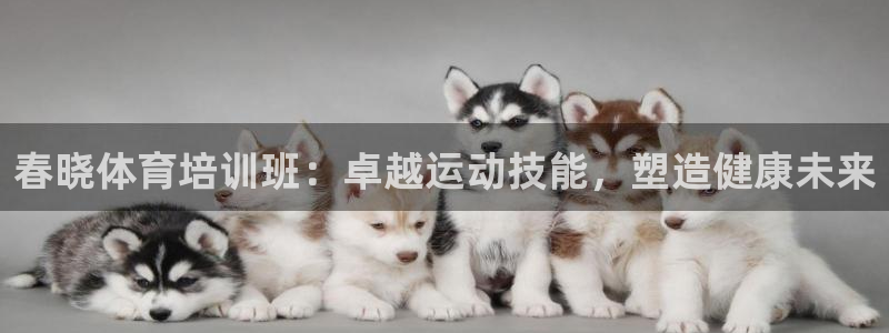 欧陆娱乐是真的吗：春晓体育培训班：卓越运动技能，塑造