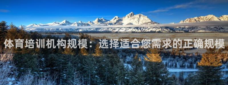 欧陆娱乐是正规平台吗安全吗可靠吗可信吗：体育培训机构规模：选