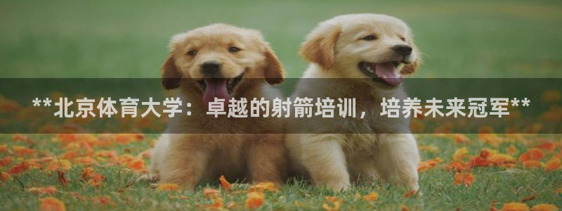 欧陆娱乐公司产品介绍图片：**北京体育大学：卓越的射箭培训，