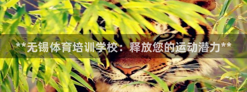 欧陆娱乐测速：**无锡体育培训学校：释放您的运动潜力