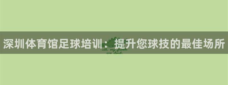欧陆娱乐中国：深圳体育馆足球培训：提升您球技的最佳场