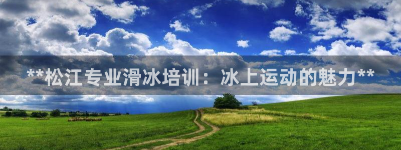 欧陆娱乐打什么方案赚钱：**松江专业滑冰培训：冰上运