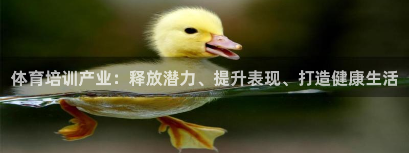 欧陆娱乐出款了吗：体育培训产业：释放潜力、提升表现、