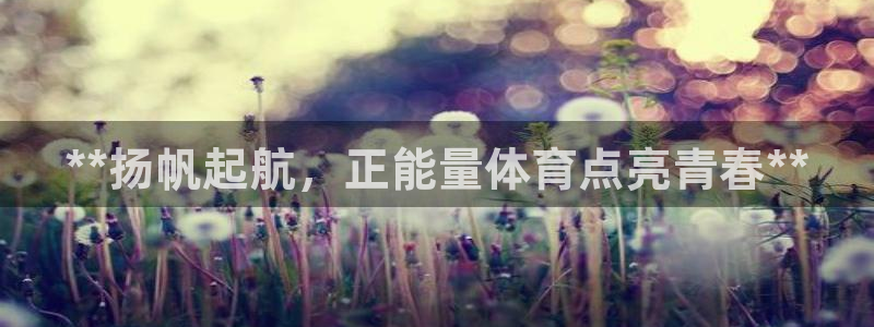 欧陆娱乐脚本怎么下载：**扬帆起航，正能量体育点亮青