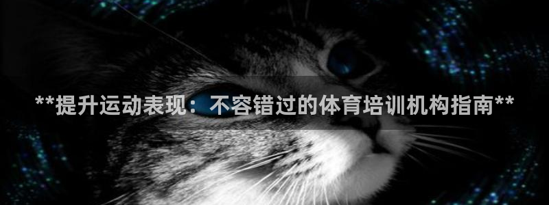 欧陆娱乐登录官网网址：**提升运动表现：不容错过的体