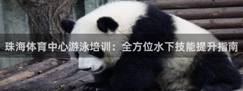 欧陆娱乐登录平台下载：珠海体育中心游泳培训：全方位水
