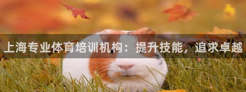 欧陆娱乐微信众：上海专业体育培训机构：提升技能，追求