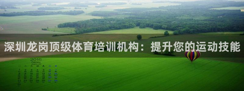 欧陆娱乐访问：深圳龙岗顶级体育培训机构：提升您的运动