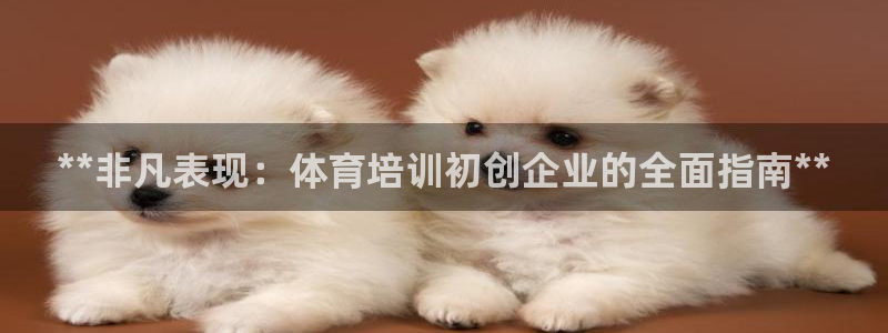 欧陆娱乐挂机项目怎么设置